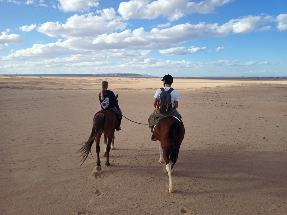 صورة الخدمة